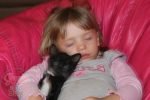 Tips to help your pets avoid the back-to-school blues