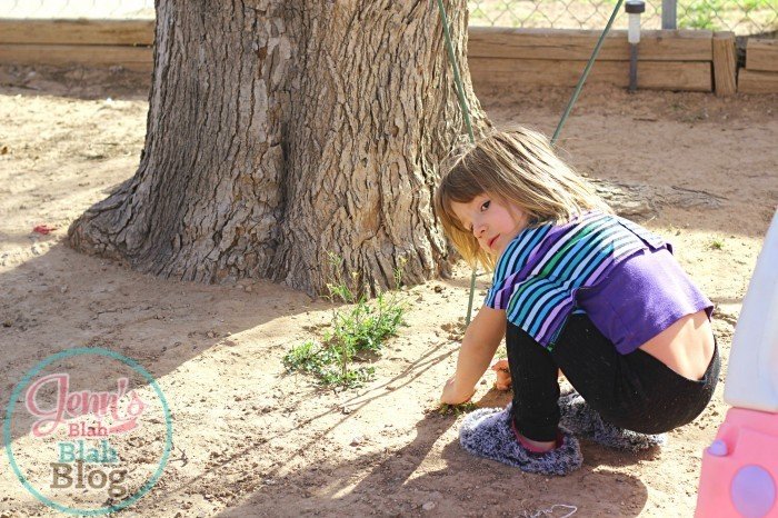 Gardening